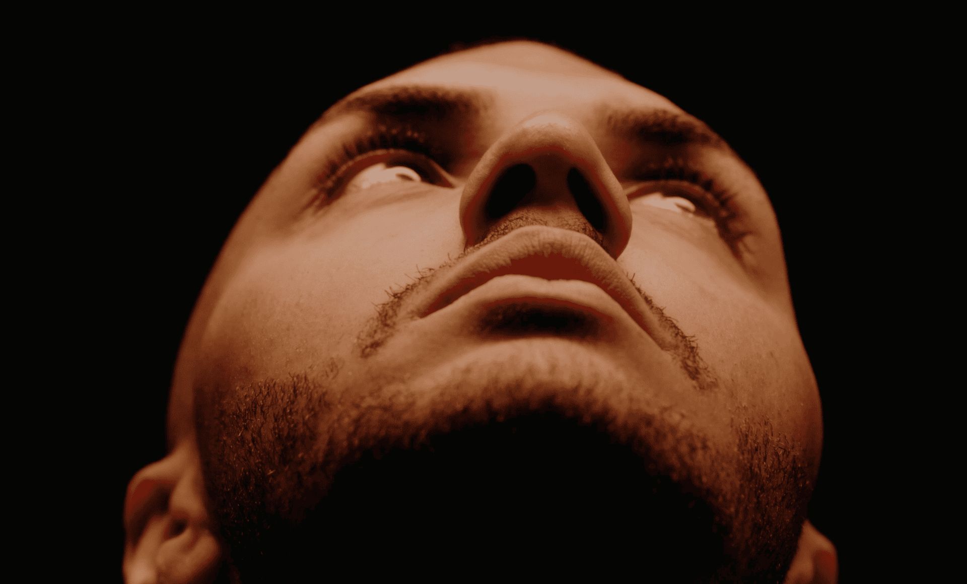 The Bold Ones overview placeholder
